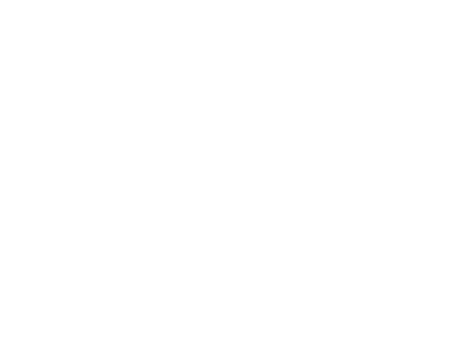Aspect Of Life